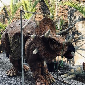 Triceratops
