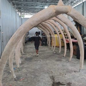 Tulang Terowongan