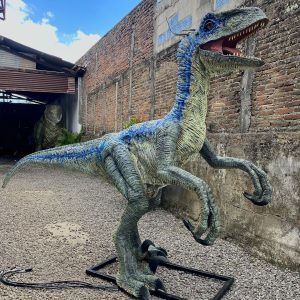 Animatronik Velociraptor Blue